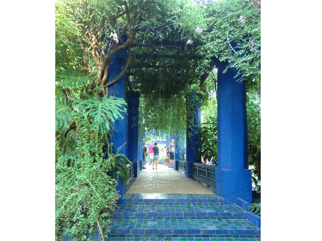 Blue, Majorelle blue, Azure, Stairs, Walkway, Electric blue, Arch, Shrub, Garden, Alley, 