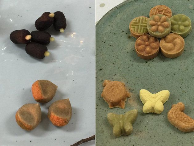 Biscuit, Fawn, Finger food, Natural material, Bredele, Cookies and crackers, Collection, Artifact, 