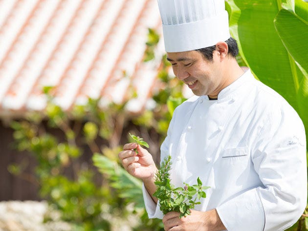 Cook, Green, Chef, Chef's uniform, Uniform, Chief cook, Herb, Cooking, Annual plant, Bud, 
