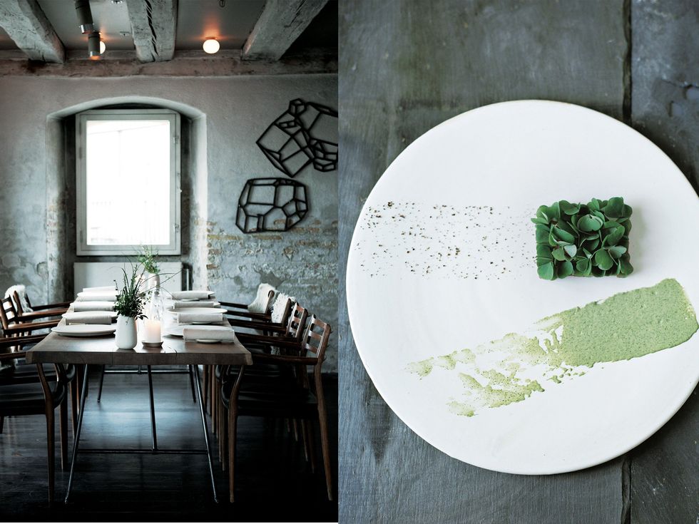 Green, Table, Furniture, Room, Leaf, Interior design, Wall, Dishware, Light fixture, Kitchen & dining room table, 