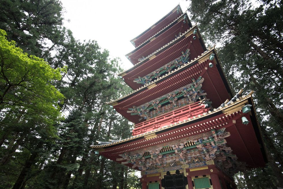 Nature, Chinese architecture, Architecture, Tree, Japanese architecture, Pagoda, Landmark, Place of worship, Temple, Botany, 