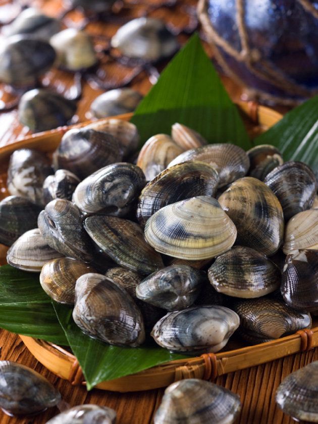 Bivalve, Ingredient, Clam, Natural material, Shellfish, Shell, Molluscs, Close-up, Baltic clam, Seafood, 