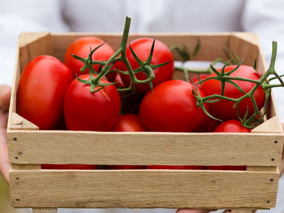 Produce, Tomato, Vegan nutrition, Whole food, Ingredient, Local food, Natural foods, Plum tomato, Food, Bush tomato, 