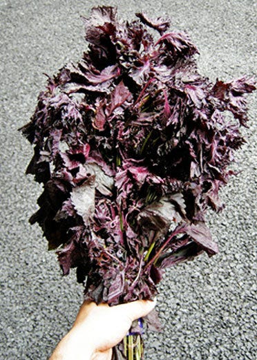 Purple, Leaf, Violet, Produce, Vegetarian food, 