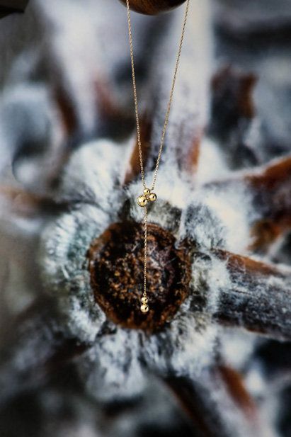 Spider web, Close-up, Organism, Macro photography, Branch, Twig, Photography, Ice, Winter, Freezing, 