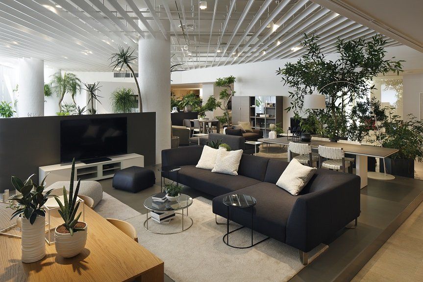 Interior design, Plant, Room, Floor, Furniture, Living room, Table, Flowerpot, Ceiling, Couch, 