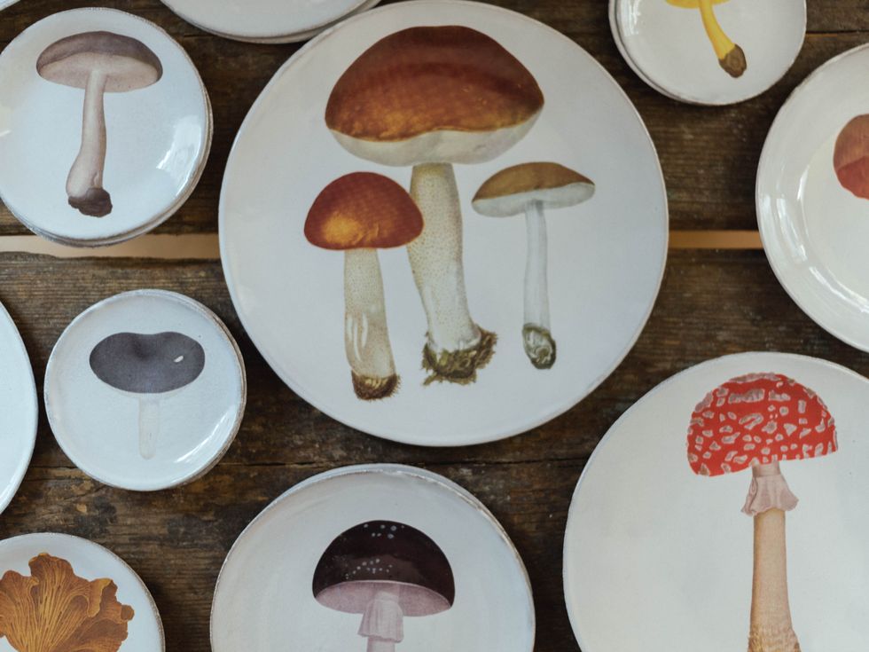 Mushroom, Edible mushroom, Agaricus, Agaricaceae, Champignon mushroom, Agaricomycetes, Fungus, Illustration, Plate, Matsutake, 