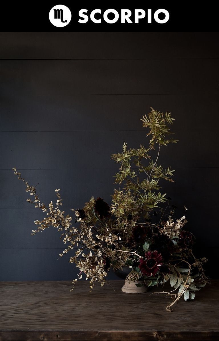 Still life photography, Plant, Ikebana, Flower, Tree, Floristry, Floral design, Still life, Font, Branch, 