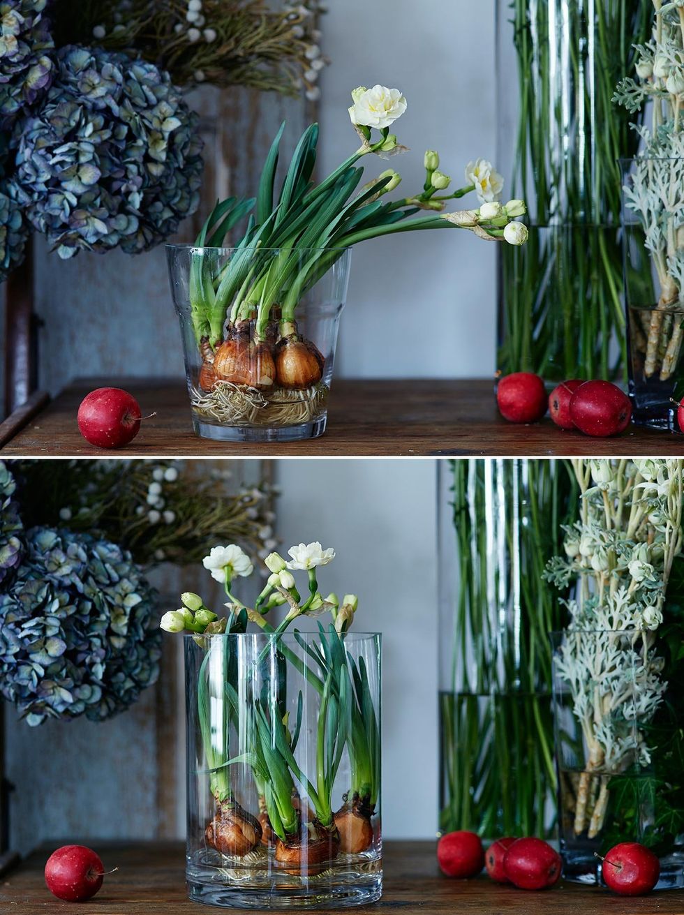 Interior design, Still life photography, Artifact, Flower Arranging, Vase, Floristry, Floral design, Ingredient, Produce, Flowering plant, 