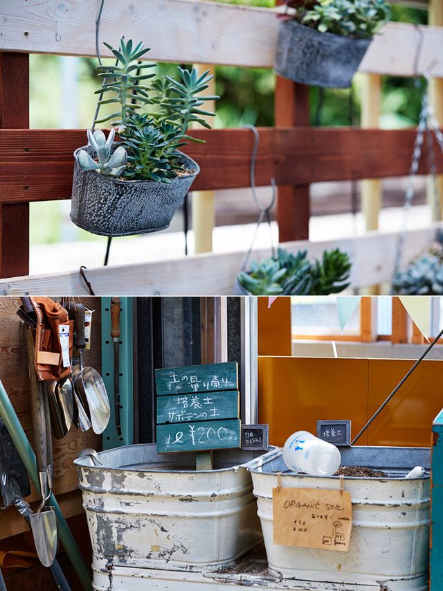 Flowerpot, Houseplant, Teal, Interior design, Herb, Still life photography, Bucket, 