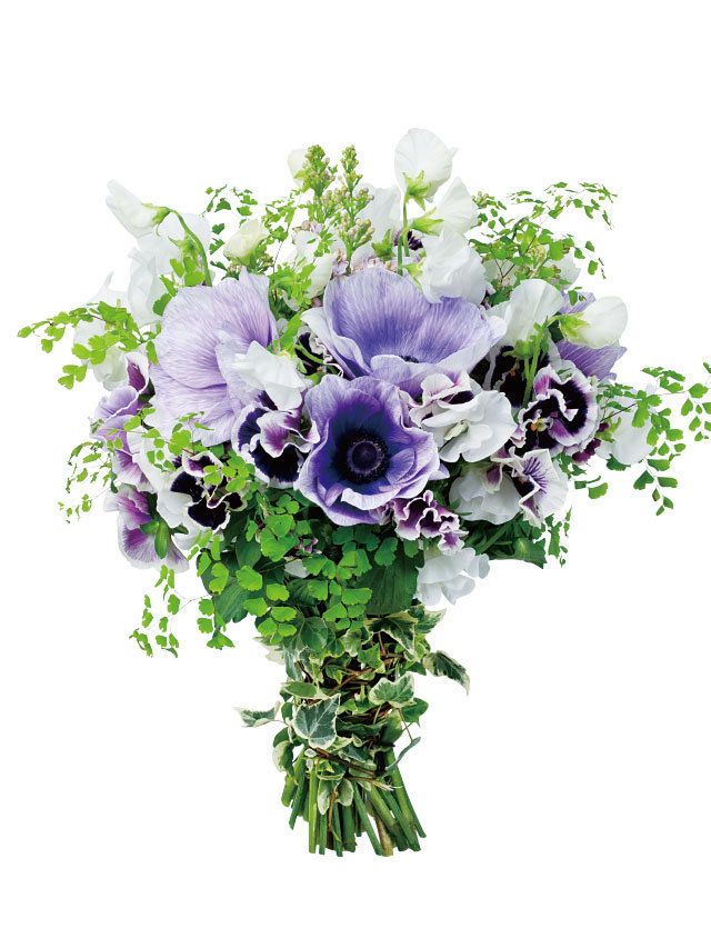 Blue, Purple, Flower, Violet, Lavender, Petal, Art, Botany, Flowering plant, Cut flowers, 