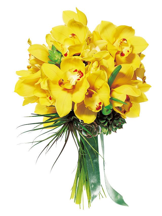 Yellow, Petal, Flower, Bouquet, Cut flowers, Floristry, Flowering plant, Flower Arranging, Botany, Floral design, 