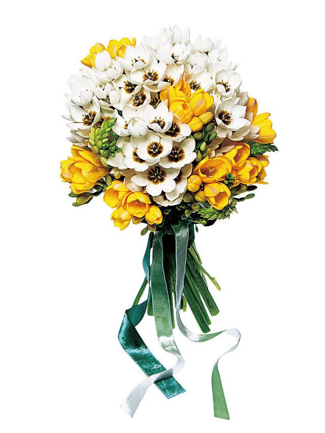 Yellow, Bouquet, Petal, Flower, Cut flowers, Flowering plant, Flower Arranging, Floristry, Floral design, Creative arts, 
