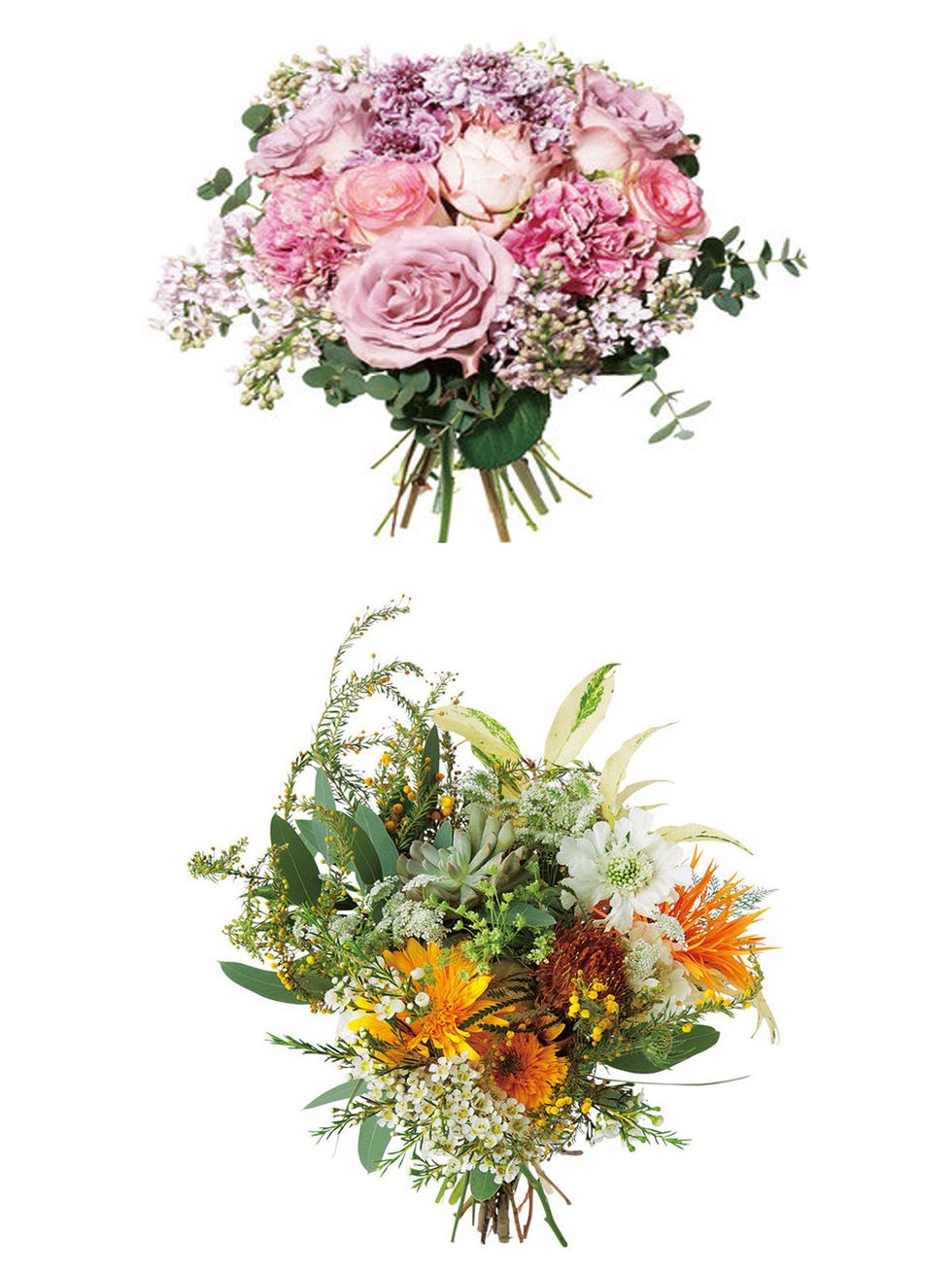 Flower, Cut flowers, Bouquet, Plant, Flower Arranging, Floristry, Floral design, Flowering plant, Botany, Rose, 