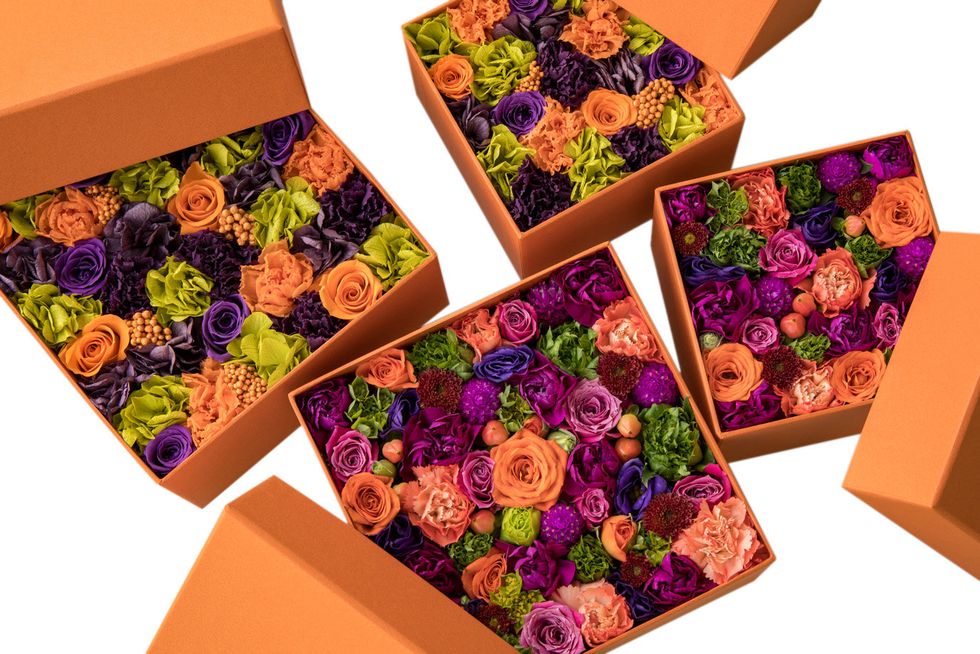 Purple, Flower, Plant, Rose, Floristry, Bouquet, Floral design, Rose family, 