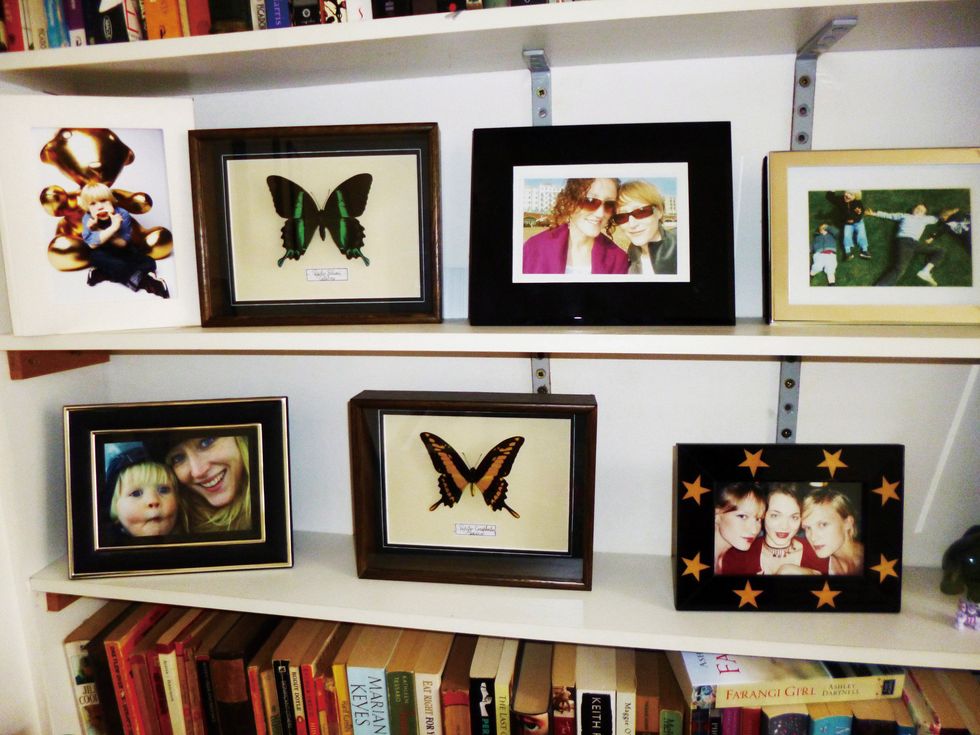 Insect, Pollinator, Picture frame, Collection, Publication, Arthropod, Interior design, Violet, Moths and butterflies, Invertebrate, 