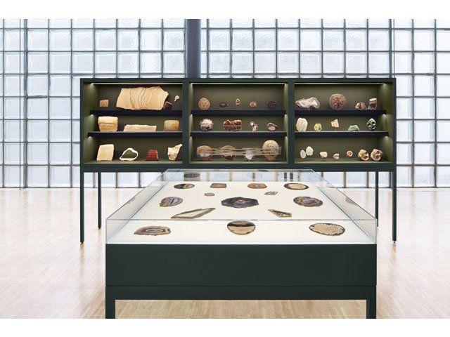 Collection, Natural material, Shelving, Shelf, Bronze, Display case, 