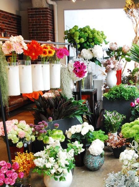 Plant, Flower, Petal, Flowerpot, Floristry, Flower Arranging, Interior design, Bouquet, Floral design, Cut flowers, 