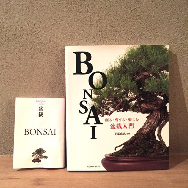 Bonsai, Trunk, Publication, Flowerpot, Sageretia theezans, Book, Conifer, Book cover, Paper product, Paper, 