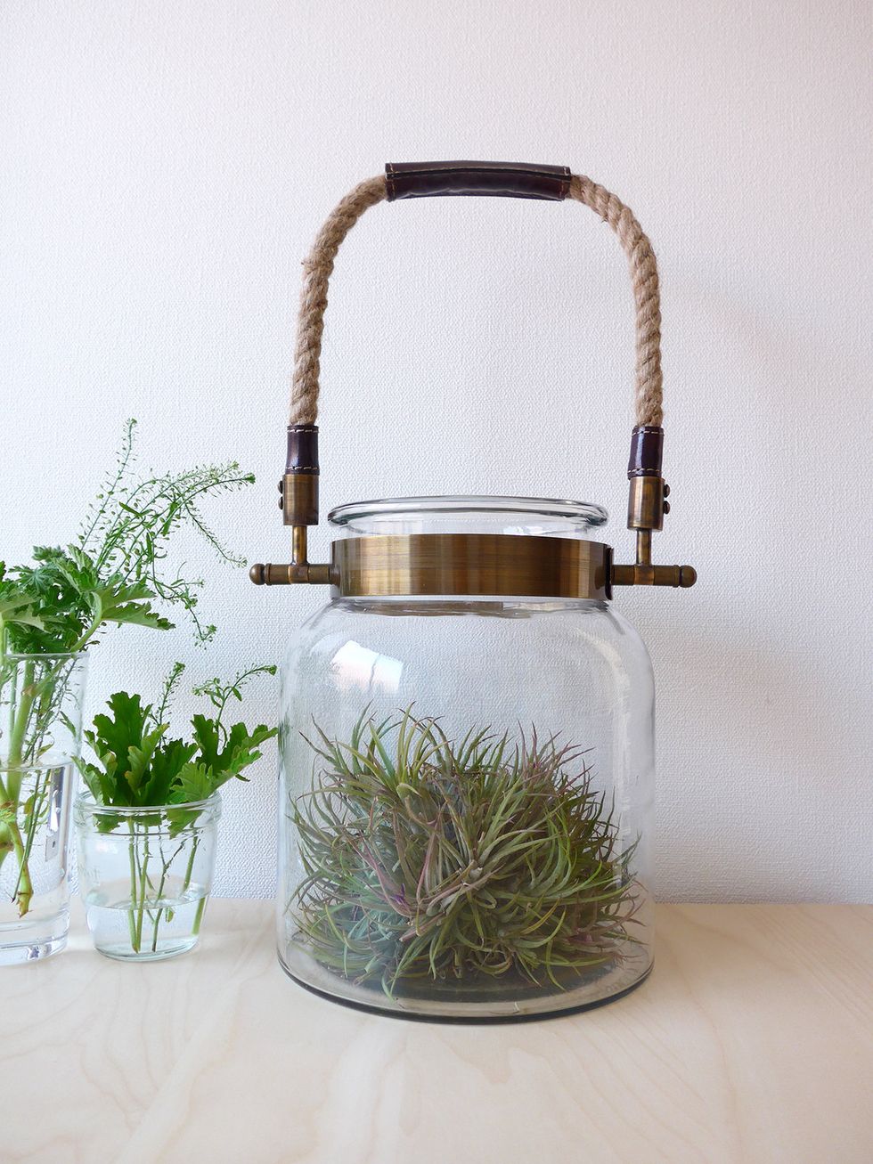 Interior design, Lavender, Herb, Silver, Lid, Houseplant, Fines herbes, Annual plant, Food storage containers, Plant stem, 