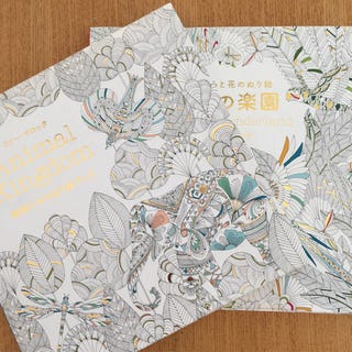 大人こそはまる めくるめく 塗り絵 の世界 大人こそはまる めくるめく 塗り絵 の世界