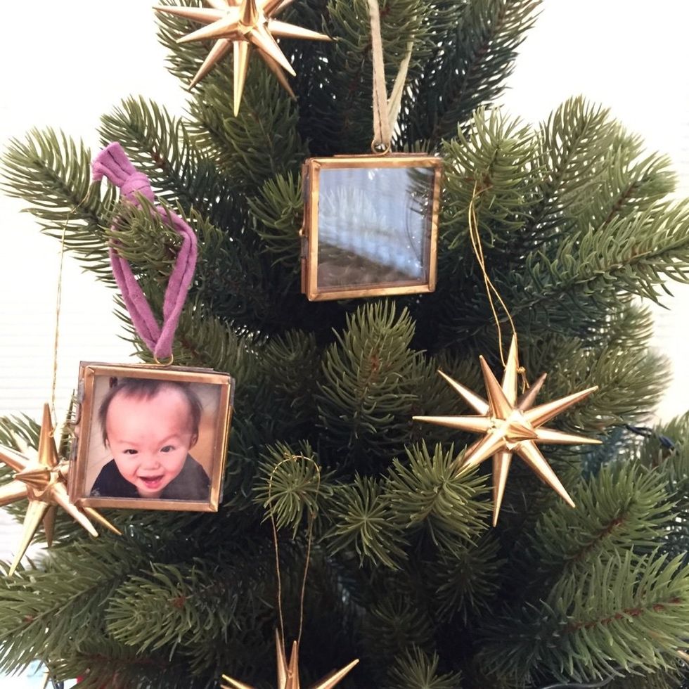 Tree, Christmas ornament, Plant, Holiday ornament, Woody plant, Christmas tree, Colorado spruce, oregon pine, Christmas, Christmas decoration, 