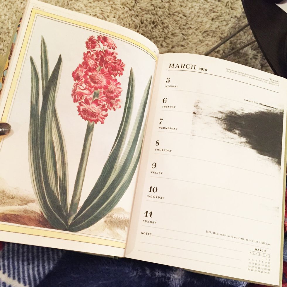 Petal, Flower, Botany, Flowering plant, Book, Publication, Plant stem, Paper, Illustration, Document, 