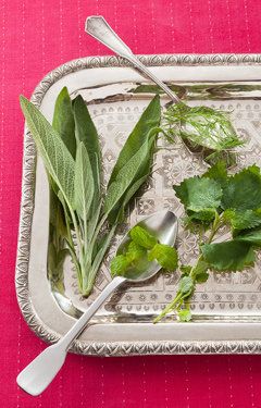 Leaf, Ingredient, Kitchen utensil, Flowering plant, Dishware, Cutlery, Herb, Serveware, Fines herbes, Annual plant, 