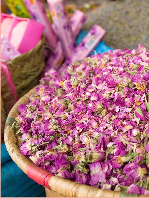 Petal, Purple, Flower, Magenta, Violet, Flowering plant, Lavender, Annual plant, Cut flowers, Floristry, 