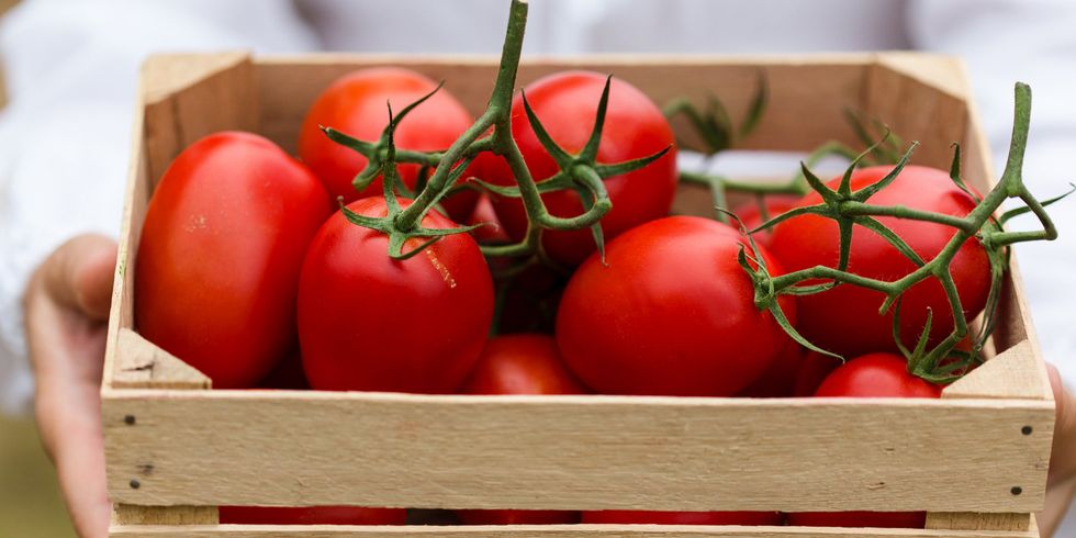 Vegan nutrition, Whole food, Tomato, Local food, Produce, Ingredient, Natural foods, Vegetable, Plum tomato, Bush tomato, 