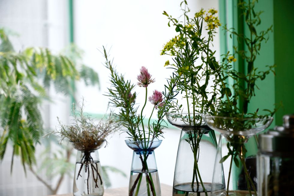 Centrepiece, Glass, Flower Arranging, Vase, Artifact, Still life photography, Floristry, Plant stem, Floral design, Artificial flower, 