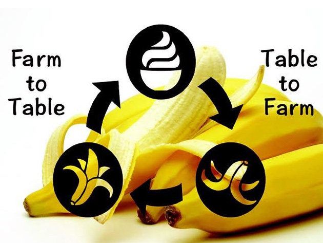 Yellow, Text, Font, Banana family, Produce, Banana, Fruit, Natural foods, Whole food, Symbol, 