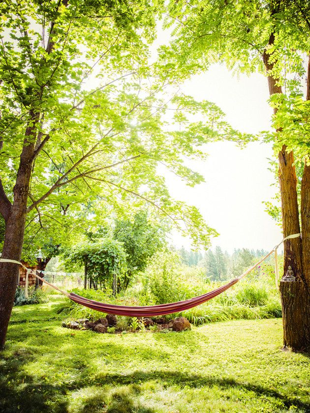 Green, People in nature, Nature, Tree, Natural landscape, Vegetation, Sunlight, Hammock, Natural environment, Forest, 