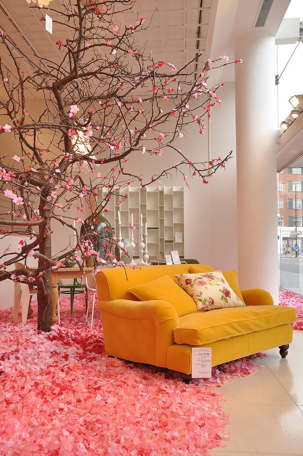 Branch, Twig, Room, Interior design, Red, Pink, Couch, Furniture, Interior design, Ceiling, 