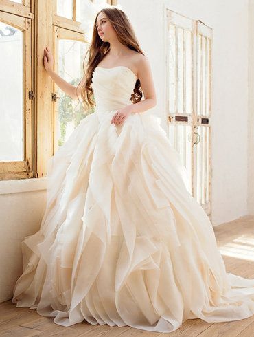 Gown, Wedding dress, Clothing, Dress, Bridal party dress, Bridal clothing, Fashion model, Shoulder, Photograph, Bride, 