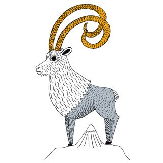 Line art, Goats, Animal figure, Cow-goat family, Wildlife, Goat-antelope, Coloring book, Sheep, Antelope, Sheep, 