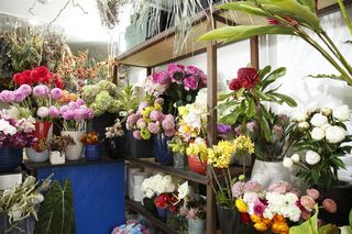Flower, Flowerpot, Purple, Petal, Floristry, Flower Arranging, Floral design, Bouquet, Flowering plant, Houseplant, 