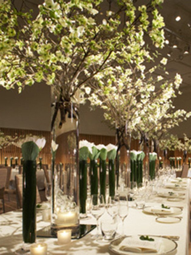 Centrepiece, Branch, Table, Tree, Rehearsal dinner, Tableware, Wedding reception, Champagne stemware, Stemware, Plant, 