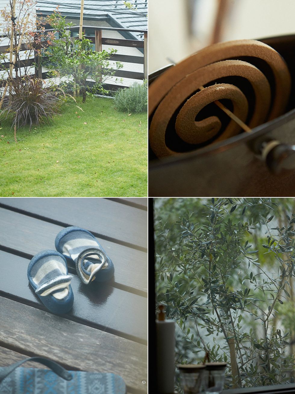 Wood, Glass, Spiral, Silver, Yard, Still life photography, Backyard, Steel, Daylighting, 