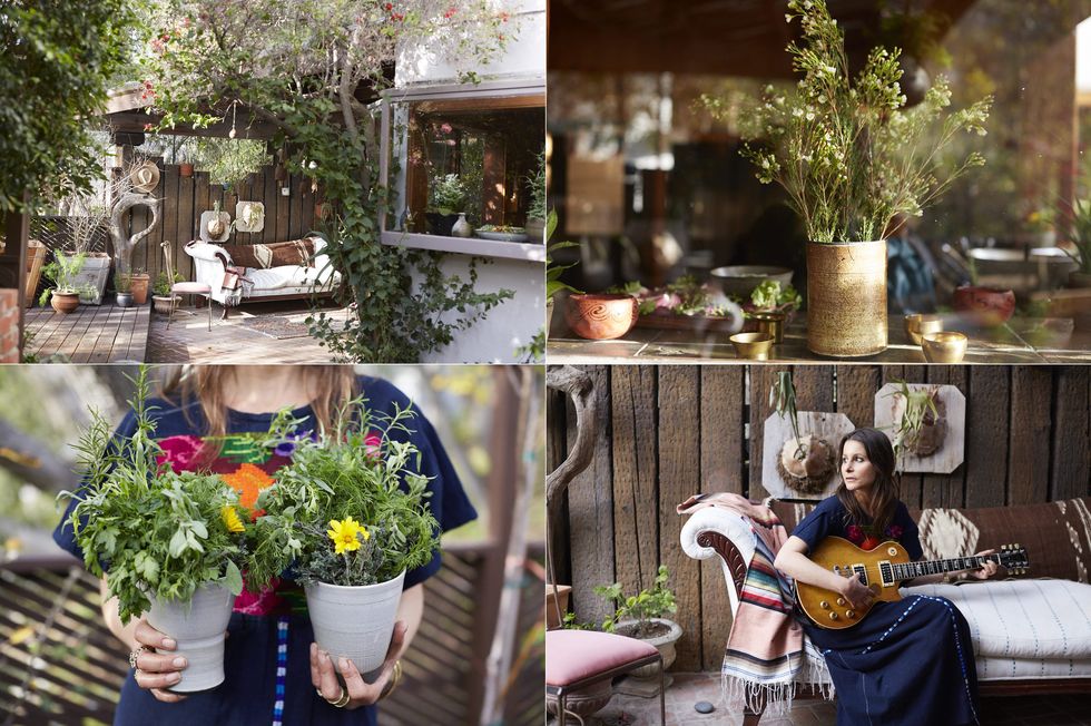 Flowerpot, Plant, Couch, Garden, Interior design, Comfort, Houseplant, Guitar, Living room, Backyard, 