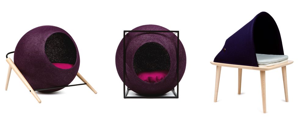 Purple, Magenta, Violet, Pink, Maroon, Carmine, Circle, Natural material, End table, Still life photography, 