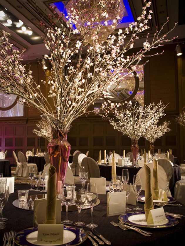 Decoration, Wedding banquet, Centrepiece, Function hall, Lighting, Branch, Tableware, Rehearsal dinner, Chiavari chair, Tree, 