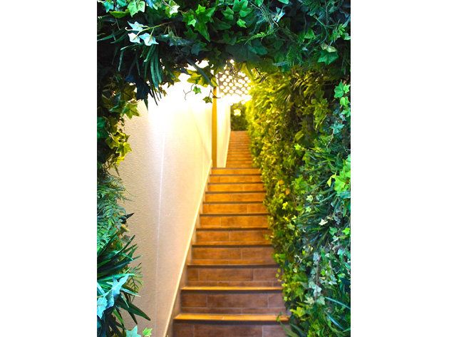 Nature, Vegetation, Wood, Green, Stairs, Leaf, Sunlight, Walkway, Symmetry, Alley, 