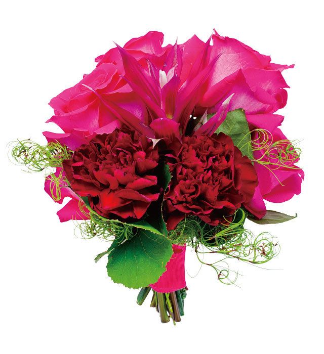 Petal, Flower, Red, Pink, Magenta, Botany, Cut flowers, Flowering plant, Floristry, Bouquet, 