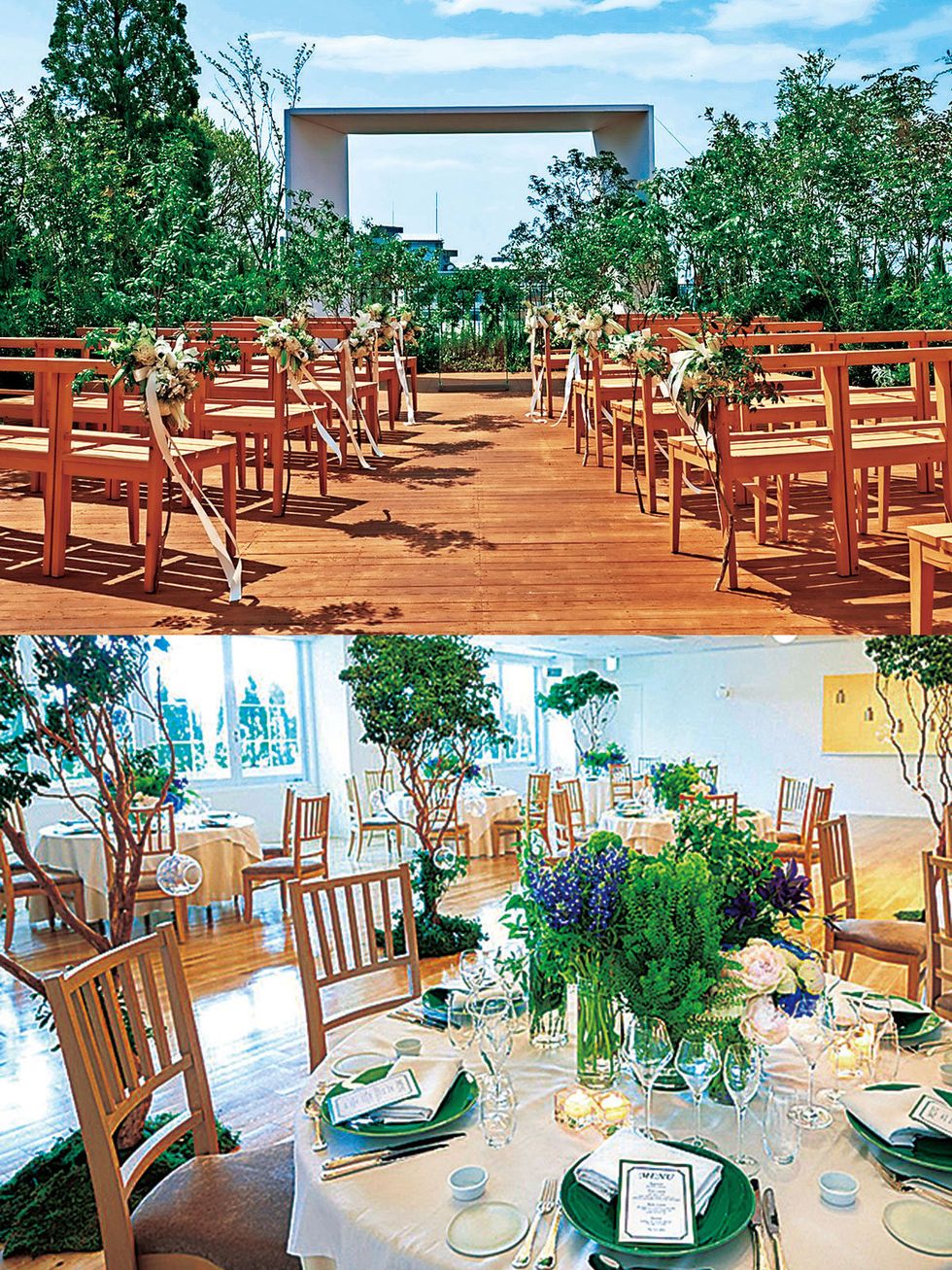 Backyard, Table, Chair, Tree, Restaurant, Furniture, Plant, Plantation, Event, Chiavari chair, 