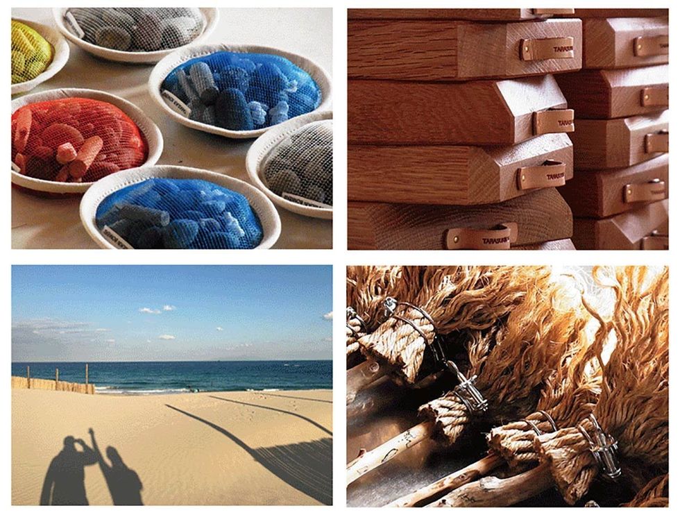 Wood, Colorfulness, Azure, Aqua, Shore, Turquoise, Electric blue, Cobalt blue, Teal, Natural material, 