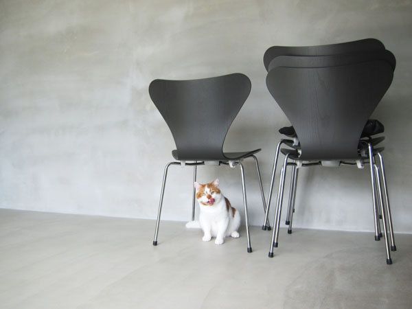 Product, Floor, Wood, Flooring, Carnivore, Furniture, Small to medium-sized cats, Chair, Cat, Felidae, 