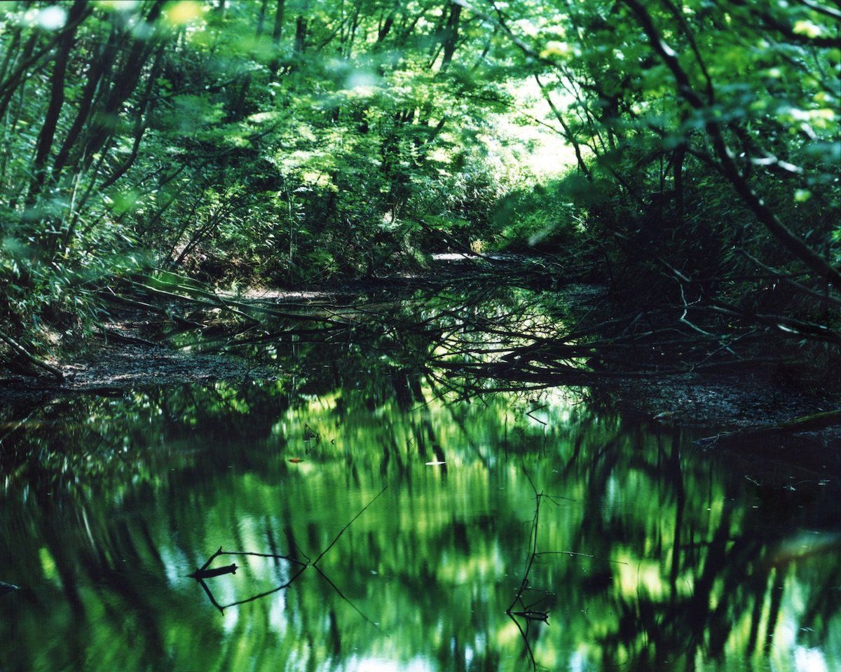 写真集の作品をオリジナルプリントで!鈴木理策の写真展「Water Mirror