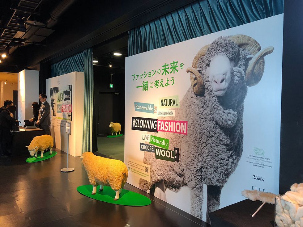 Green, Design, Organism, Sheep, Graphics, Sheep, Advertising, Exhibition, Banner, Tourism, 