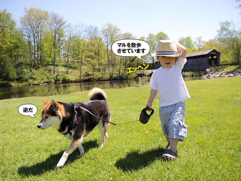 Dog, Hat, Carnivore, Dog breed, Sled dog, Sun hat, Leash, Rural area, Pet supply, Cowboy hat, 